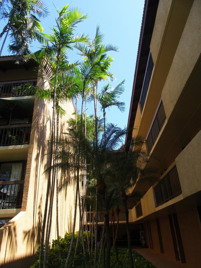 Maui-Licious By The Beach Kihei Εξωτερικό φωτογραφία